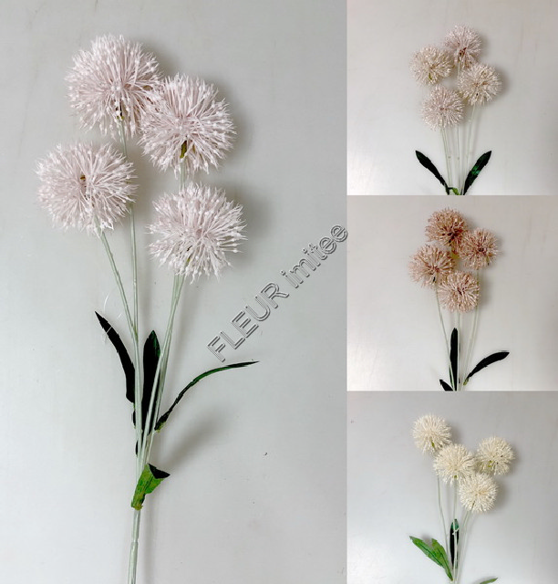 Allium x4 50cm 24/480