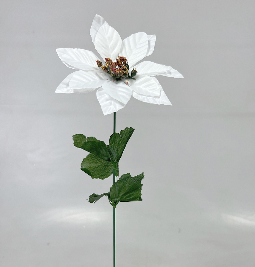Poinsettia x1 60cm 24/288