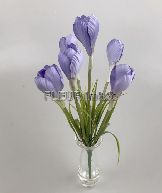 Crocus x6 s tráv.37cm 24/432