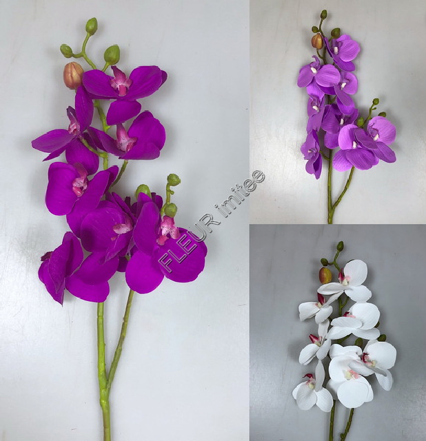 Orchidea x2  72cm 24/240