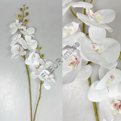 Orchidea x2 92cm 12/120
