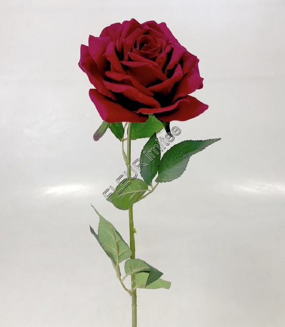 Růže x1 velvet  70cm    24/576