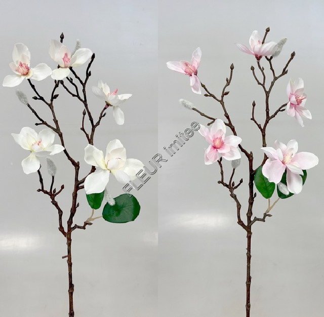 Magnolie větev  62cm  12/144