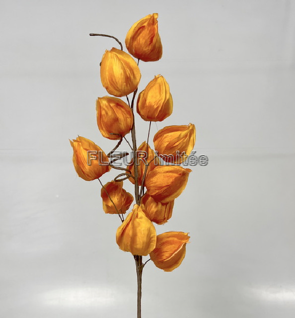 Physalis větev  x12 47cm  1/24