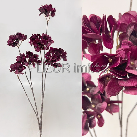 Hortenzie x6 70cm 12/48