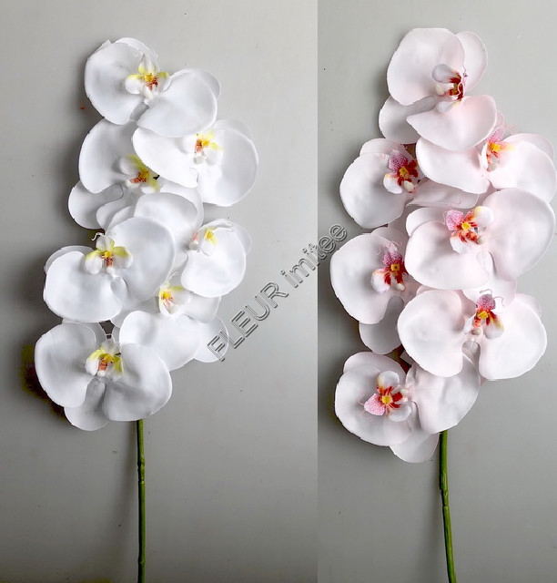 Orchidea phal.  80cm  24/96
