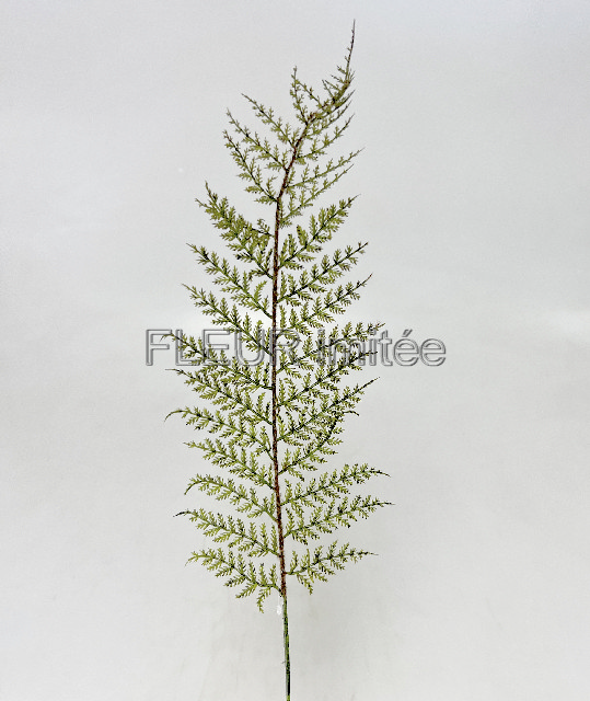 List kapradí x3 58cm 12/72