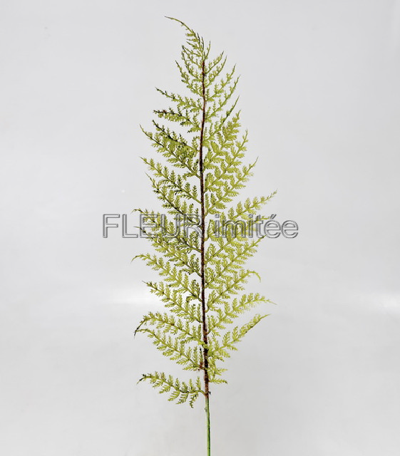 List kapradí x3 58cm 12/72