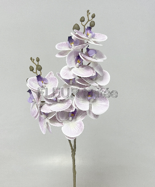 Orchidea x2  66cm 12/144