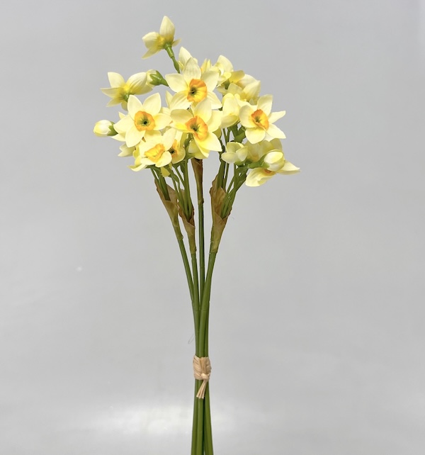Narcis mini x5 34cm