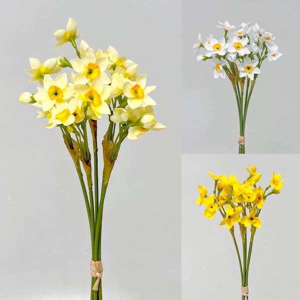 Narcis mini x5 34cm