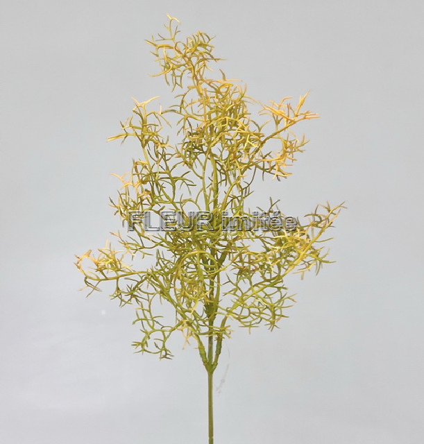 Tilandsie záp.40cm 12/120