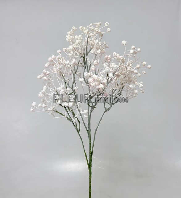 Gypsophila x5  70cm 12/96