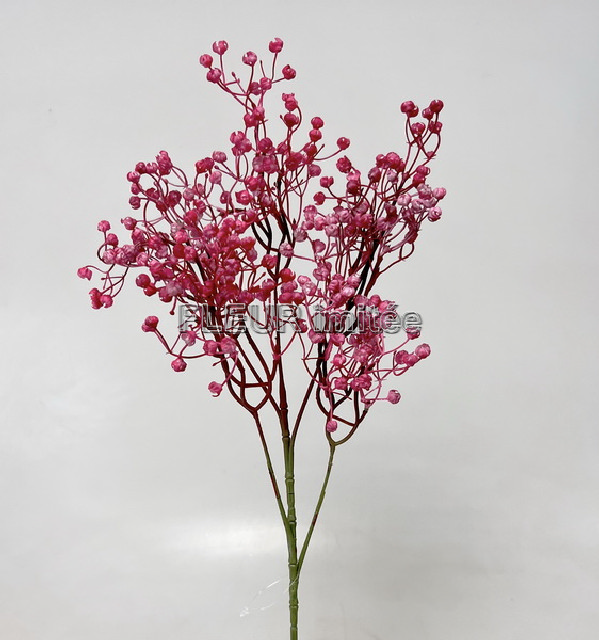 Gypsophila x5  70cm 12/96
