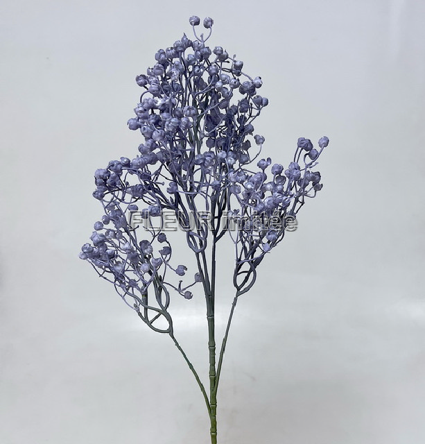Gypsophila x5  70cm 12/96