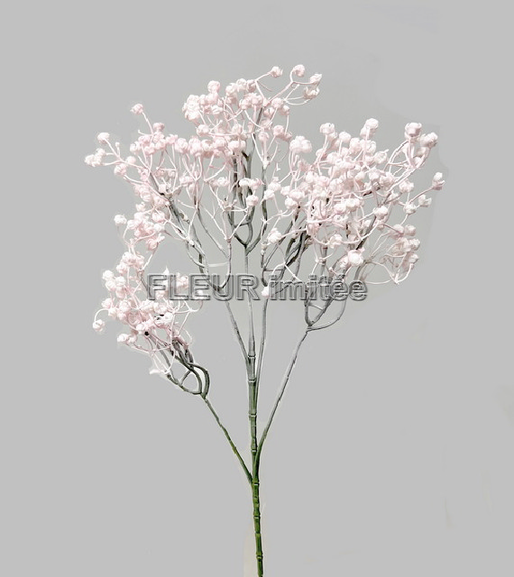 Gypsophila x5  70cm 12/96