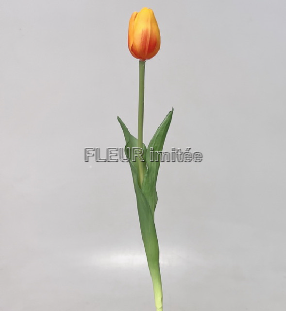 Tulipán x1 latex 42cm 12/96