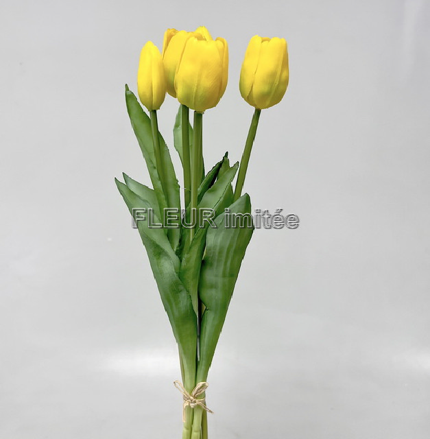 Tulipán x5 latex 42cm 12/96