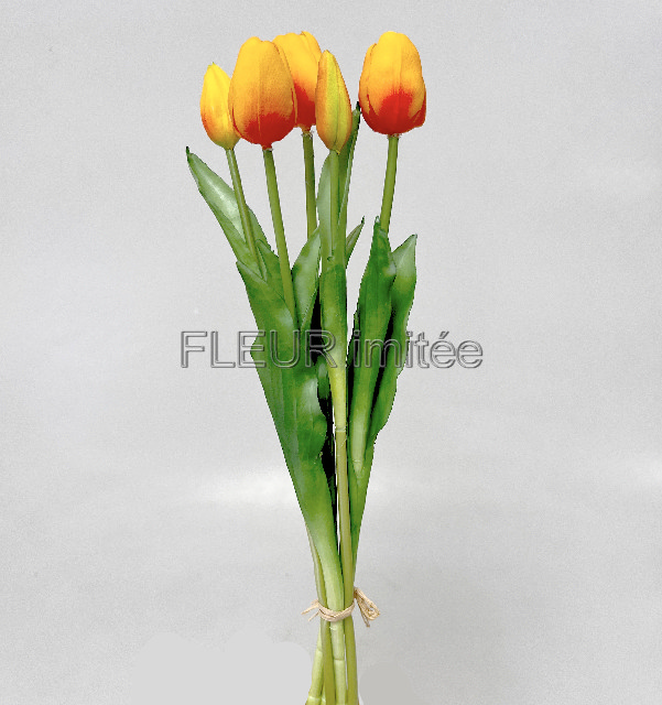 Tulipán x5 latex 42cm 12/96