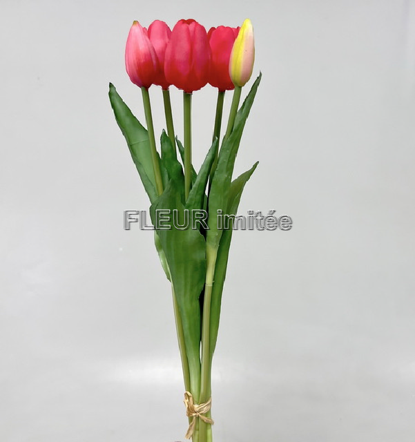 Tulipán x5 latex 42cm 12/96