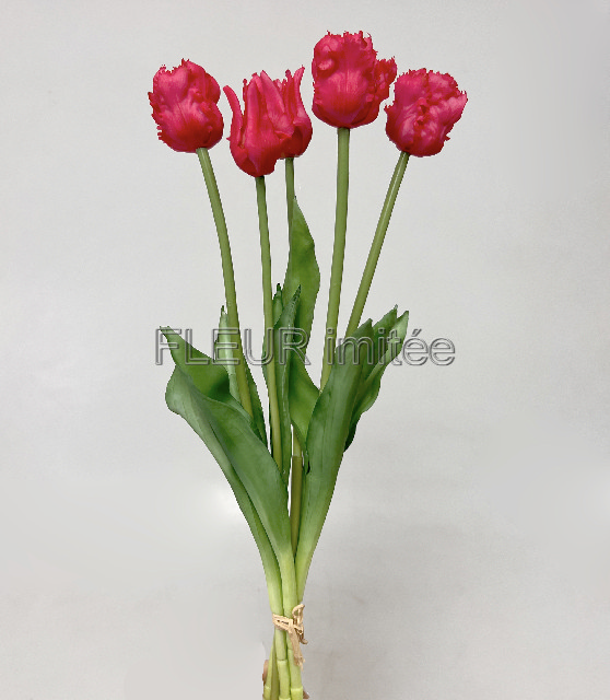 Tulipán x5 latex 47cm  12/72