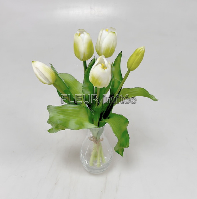 Tulipán x5 latex 30cm 12/96
