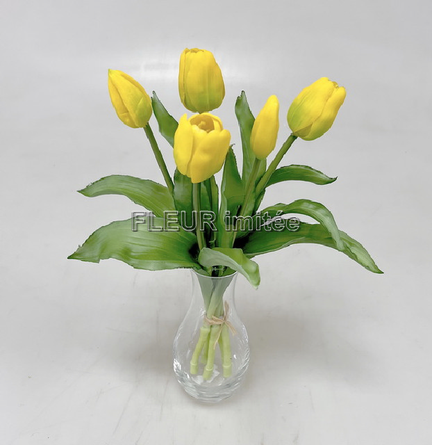 Tulipán x5 latex 30cm 12/96