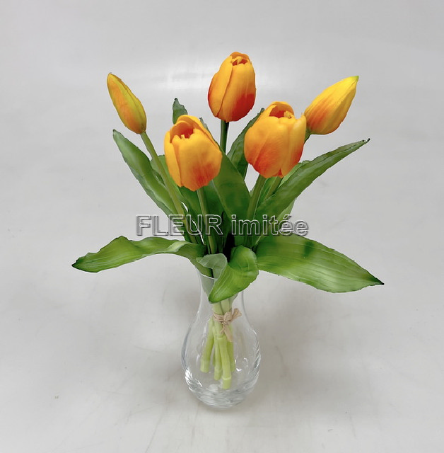 Tulipán x5 latex 30cm 12/96