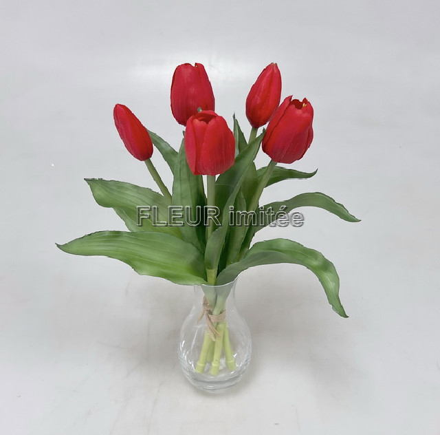 Tulipán x5 latex 30cm 12/96