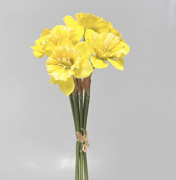 Narcis x5 30cm 24/240