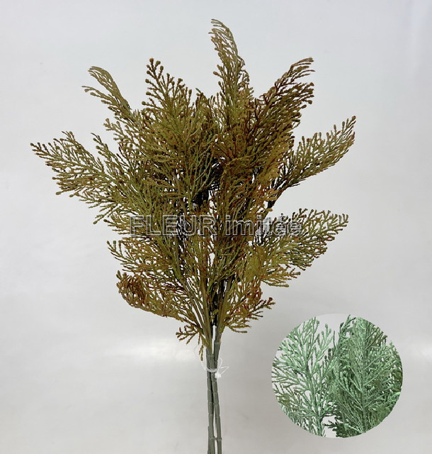 Tuje x3 55cm 72/432