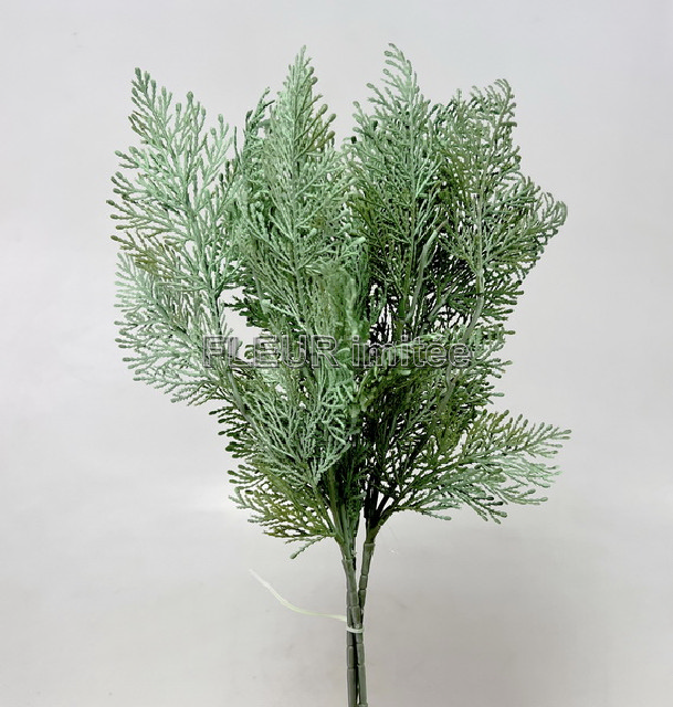 Tuje x3 55cm 72/432