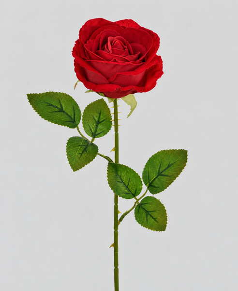Růže velvet 52cm  36/288