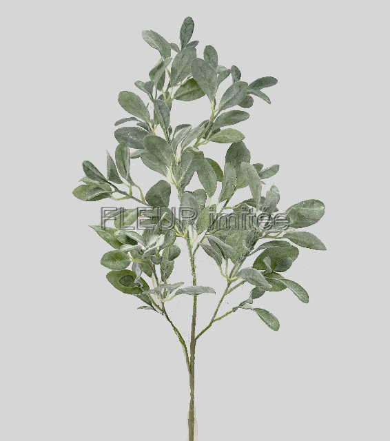 Starček x2 110cm frost 12/72