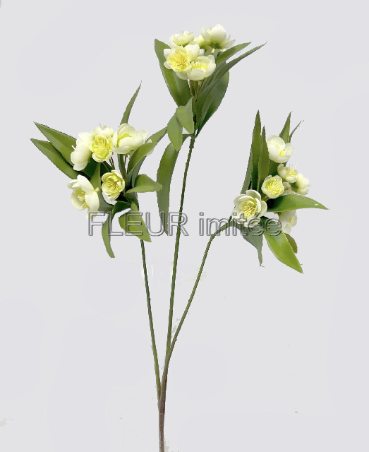 Manuka  x3 85cm  12144