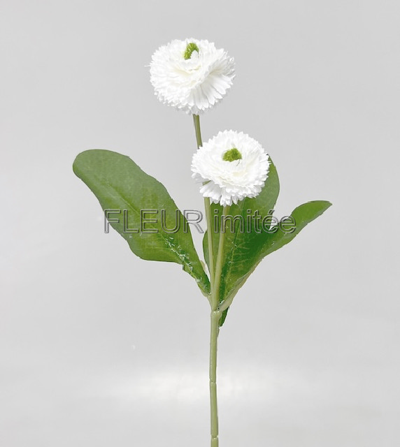 Sedmikráska x2 25cm