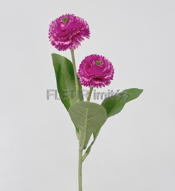 Sedmikráska x2 25cm