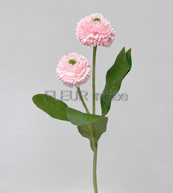 Sedmikráska x2 25cm