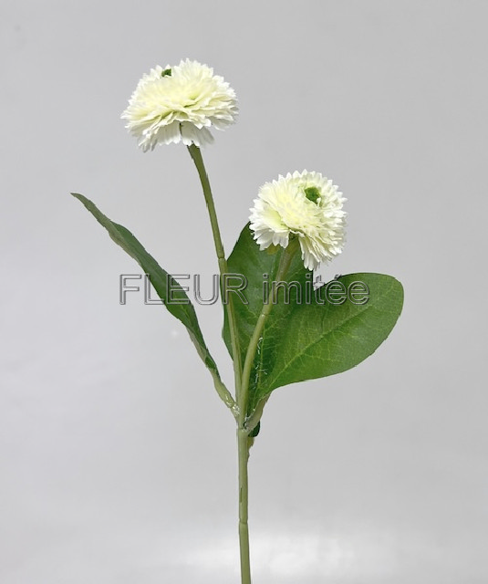 Sedmikráska x2 25cm