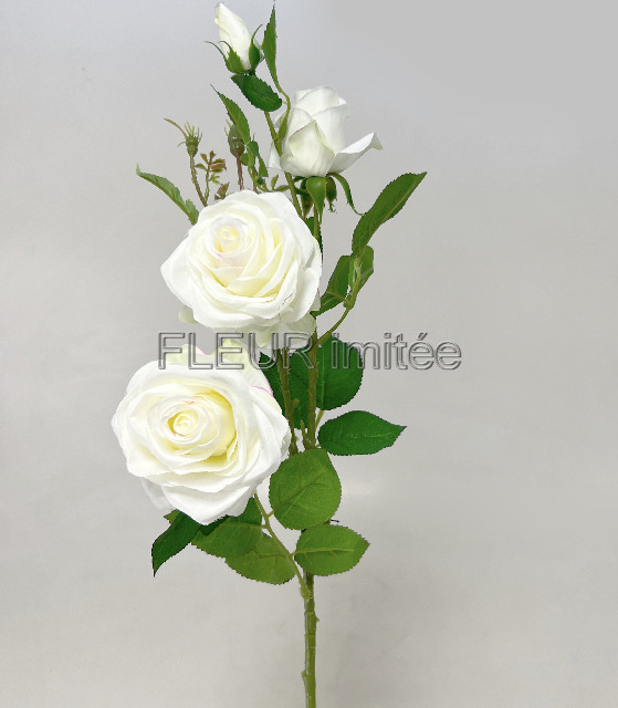 Růže x4 79cm SUN880 18/180