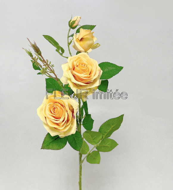 Růže x4 79cm SUN880 18/180
