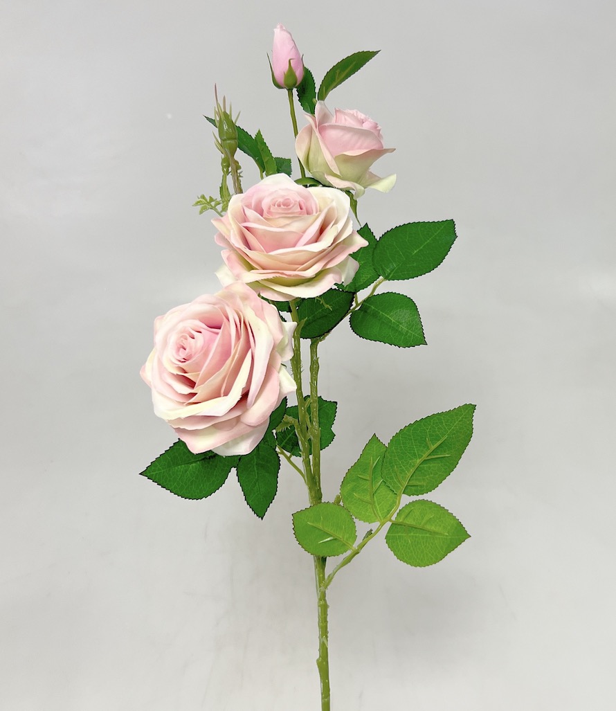 Růže x4 79cm SUN880 18/180