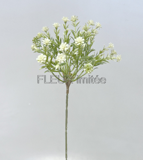 Gypsophila  46cm  6/192