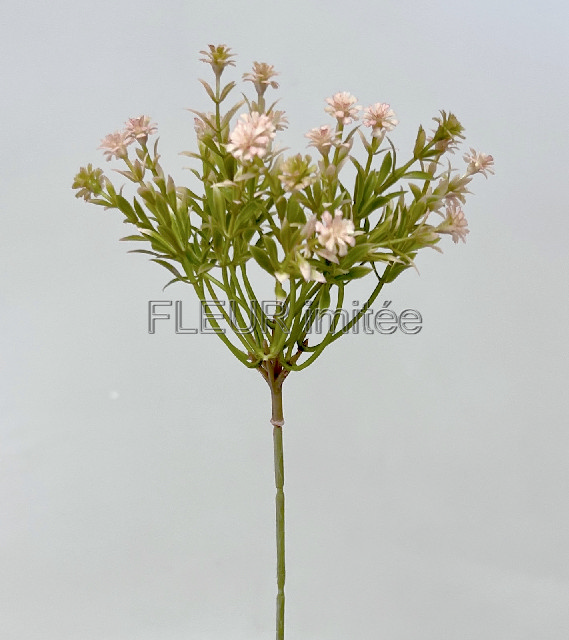 Gypsophila  46cm  6/192