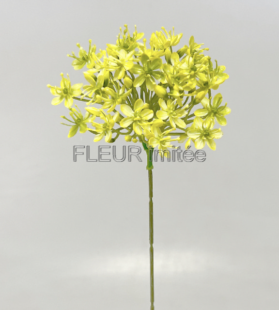 Česnek 42/14cm 6/96