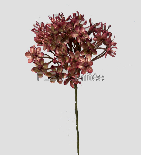 Česnek 42/14cm 6/96