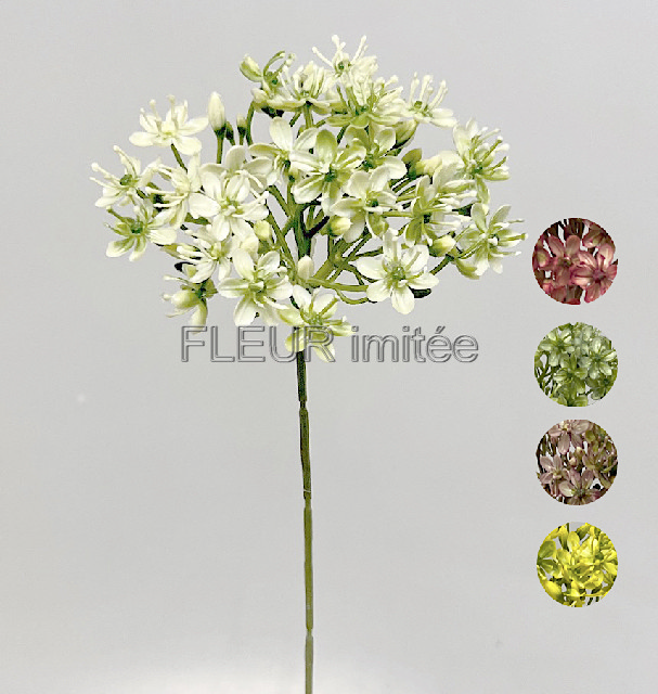 Česnek 42/14cm 6/96