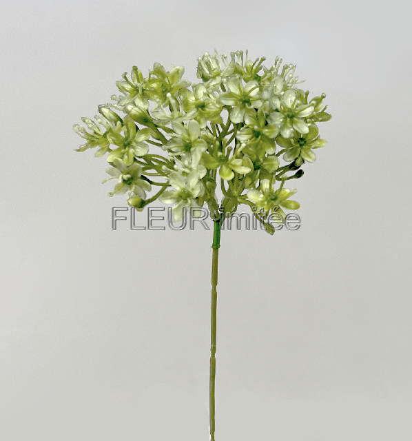 Česnek 42/14cm 6/96