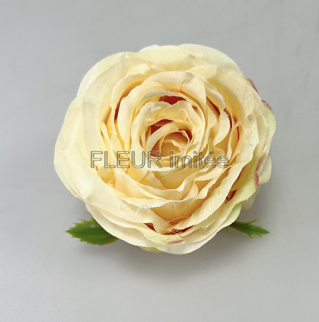 Květ růže Tiamo II 10cm 12/240