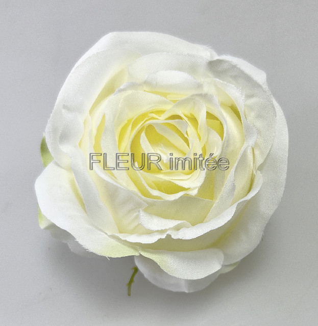 Květ růže Tiamo 8cm 12/240